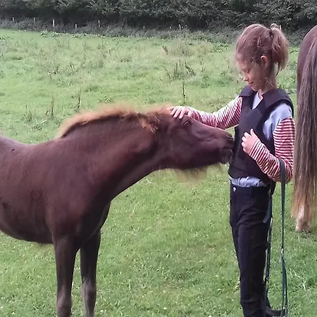 Reiterhof Boekensberg Kasseedorf