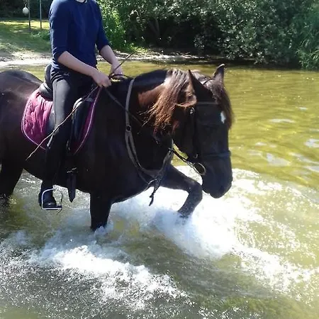 Reiterhof Boekensberg Διαμέρισμα