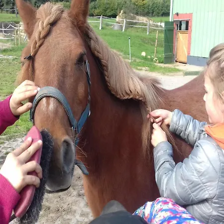 Διαμέρισμα Reiterhof Boekensberg