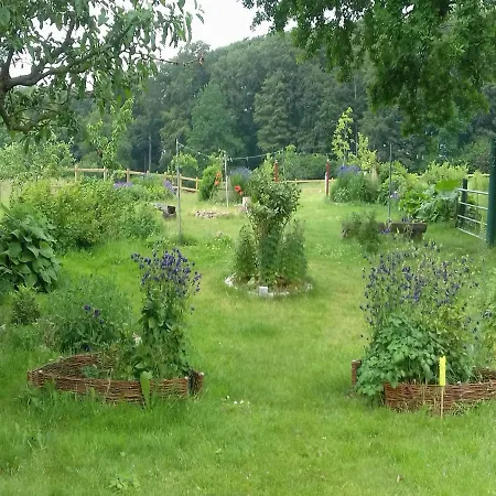 Reiterhof Boekensberg Kasseedorf