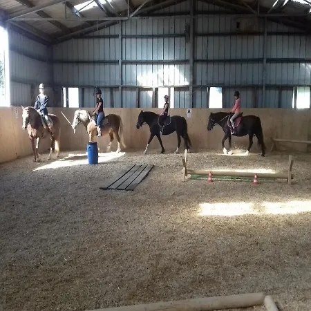 Reiterhof Boekensberg *