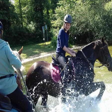 Apartment Reiterhof - Welsh Cob Gestuet *