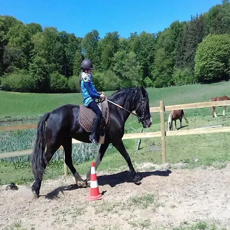 Reiterhof - Welsh Cob Gestuet *