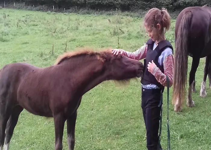 Reiterhof Boekensberg Kasseedorf