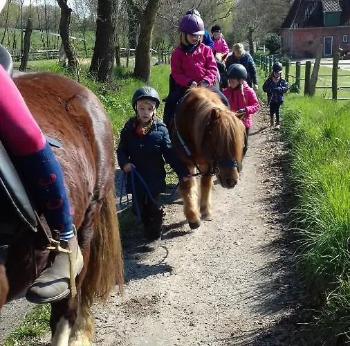 Reiterhof Boekensberg Kasseedorf