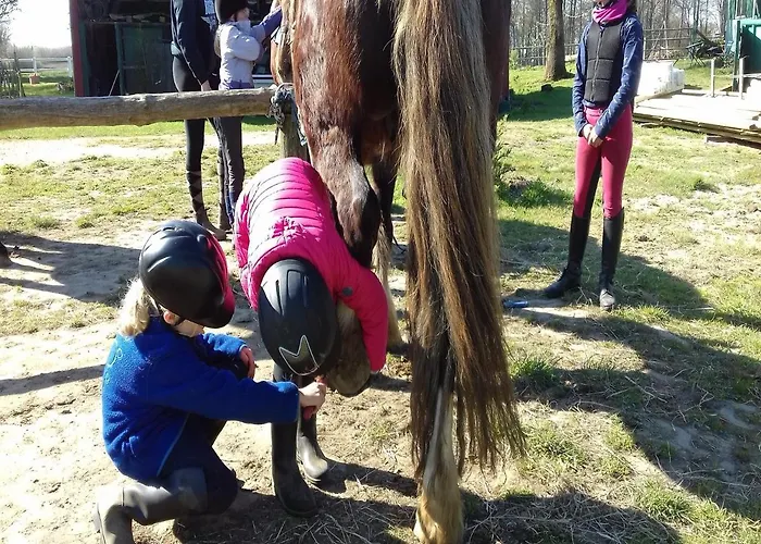 Lägenhet Reiterhof Boekensberg