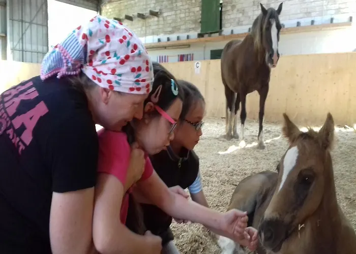 Apartment Reiterhof Boekensberg *