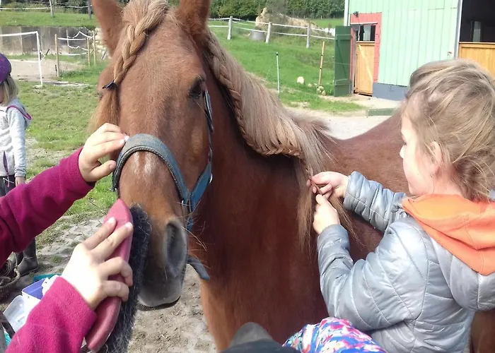 Lägenhet Reiterhof Boekensberg
