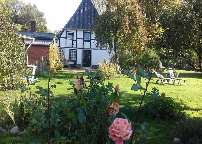 Reiterhof Boekensberg Kasseedorf