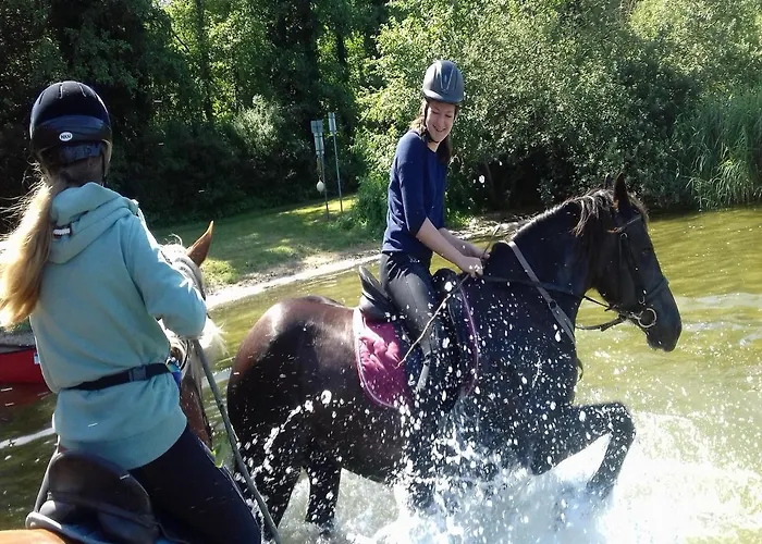 Lägenhet Reiterhof Boekensberg *