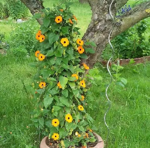 Reiterhof Boekensberg